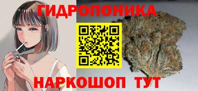 spice Жуковский