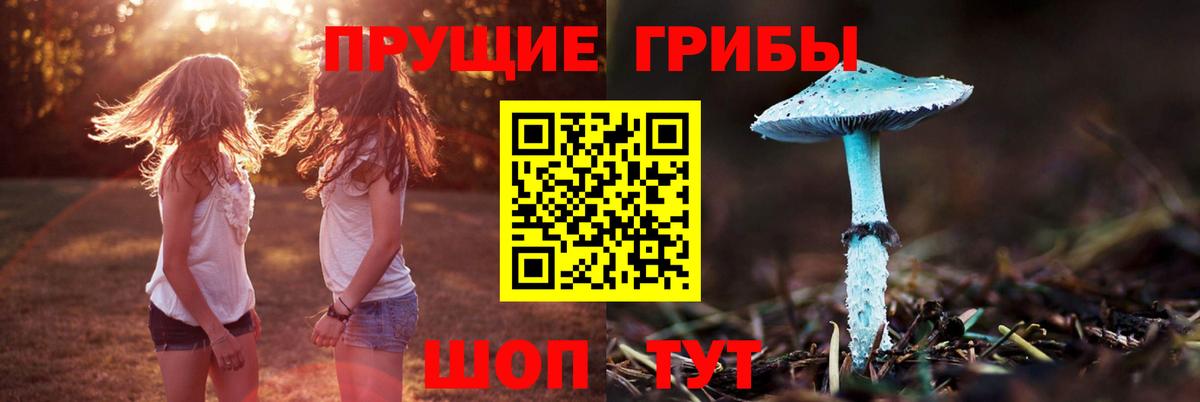 Галлюциногенные грибы Magic Shrooms  Вход с VPN  Красногорск 