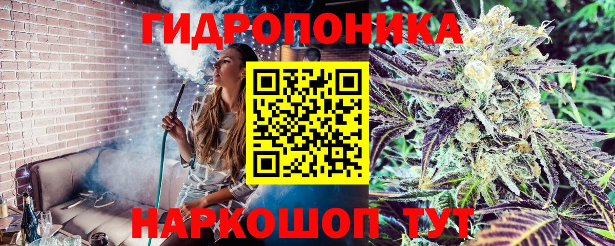 Конопля AK-47  Канабис сатива  Красногорск  Вход с VPN  Канабис VHQ 